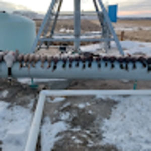 Meet your Posher, Cameron